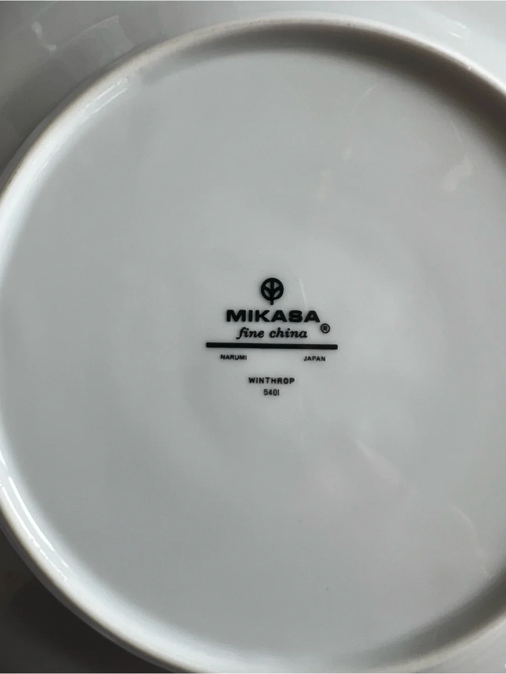 Elegant White and Silver Dinnerware Set with Delicate Scroll Border